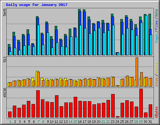 Daily usage for January 2017