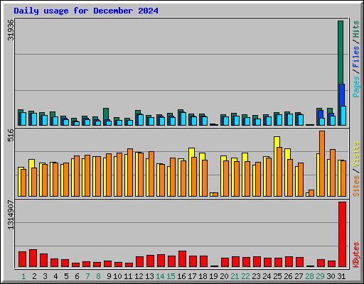 Daily usage for December 2024