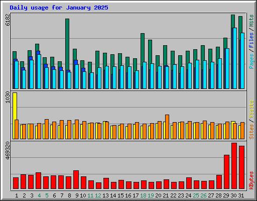 Daily usage for January 2025