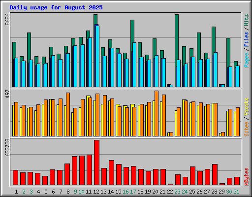 Daily usage for August 2025