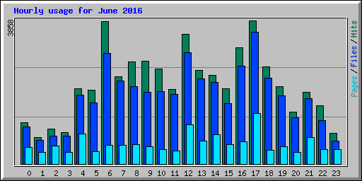 Hourly usage for June 2016