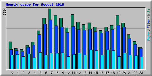 Hourly usage for August 2016