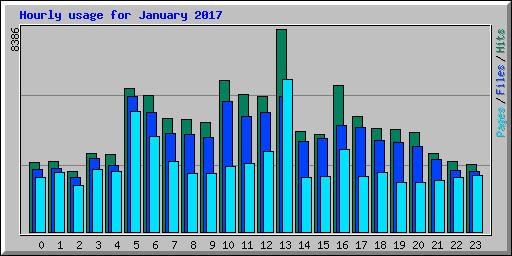 Hourly usage for January 2017