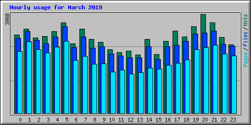 Hourly usage for March 2019