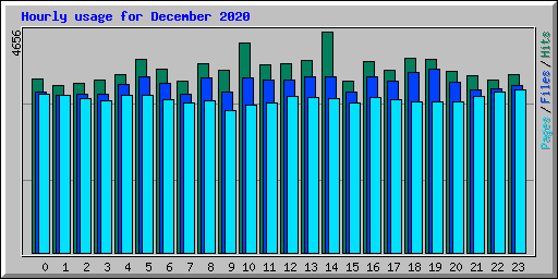 Hourly usage for December 2020