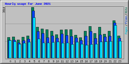 Hourly usage for June 2021