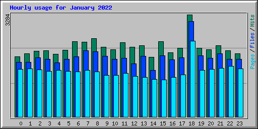 Hourly usage for January 2022