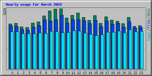 Hourly usage for March 2022