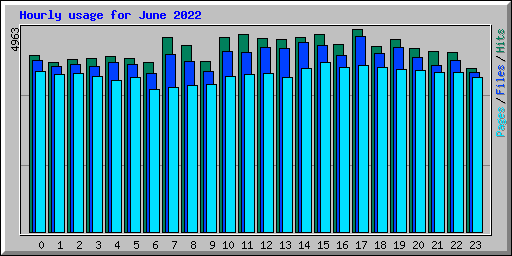 Hourly usage for June 2022