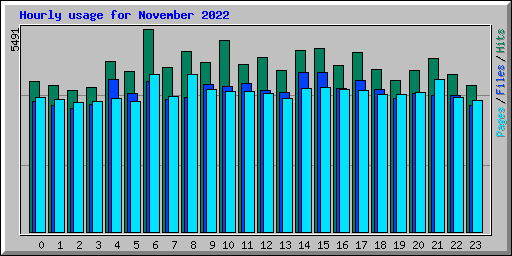 Hourly usage for November 2022