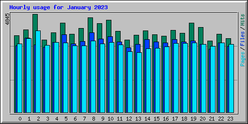 Hourly usage for January 2023