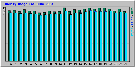 Hourly usage for June 2024