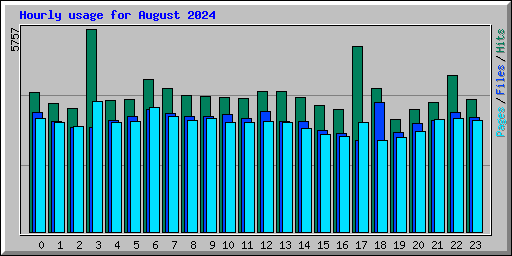 Hourly usage for August 2024