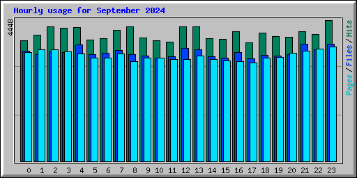 Hourly usage for September 2024