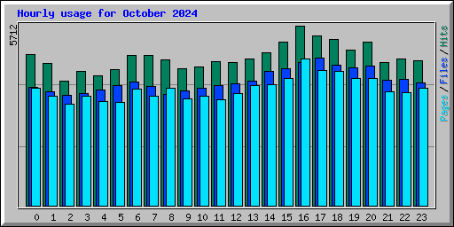 Hourly usage for October 2024