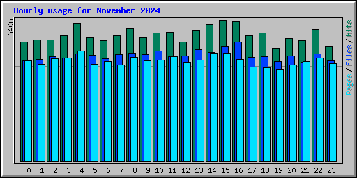 Hourly usage for November 2024