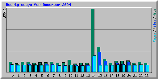 Hourly usage for December 2024