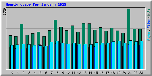 Hourly usage for January 2025