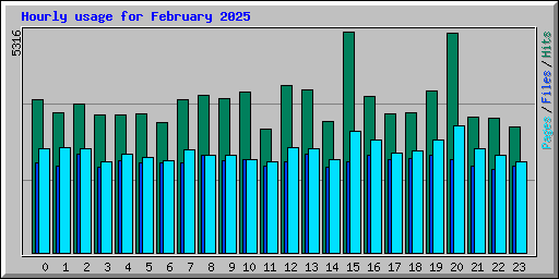 Hourly usage for February 2025