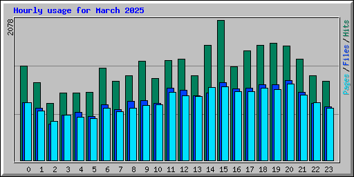 Hourly usage for March 2025