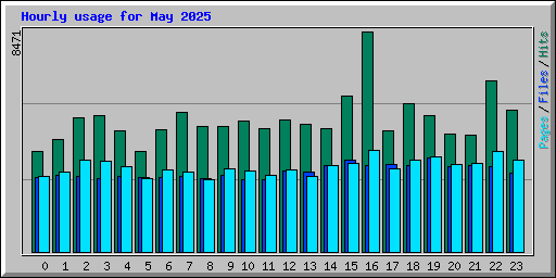 Hourly usage for May 2025