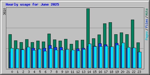 Hourly usage for June 2025