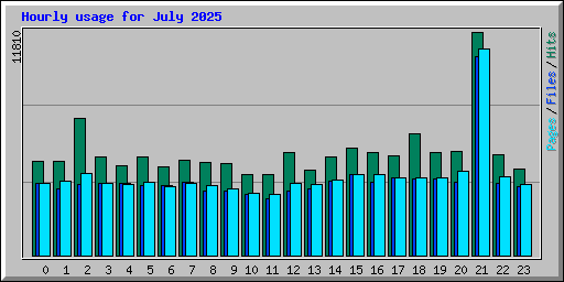 Hourly usage for July 2025