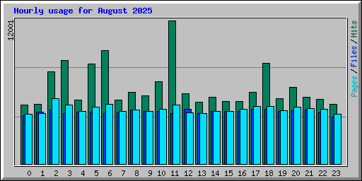 Hourly usage for August 2025