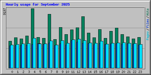 Hourly usage for September 2025