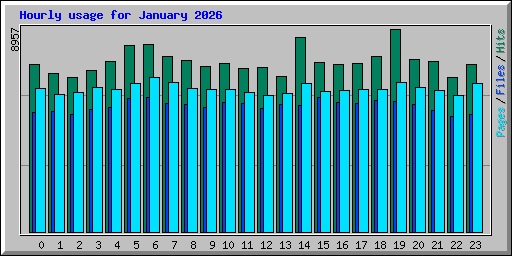 Hourly usage for January 2026