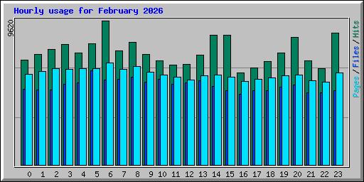 Hourly usage for February 2026