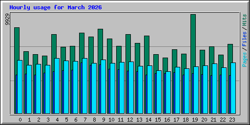 Hourly usage for March 2026