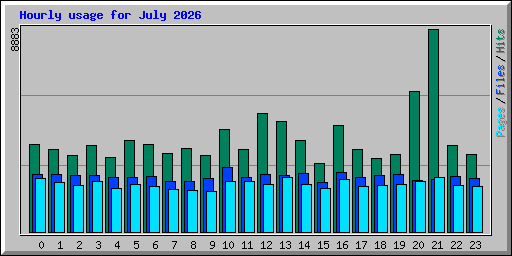 Hourly usage for July 2026